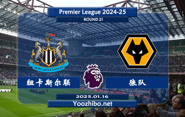 纽卡斯尔联vs狼队赛事前瞻分析：本赛季表现渐入佳境