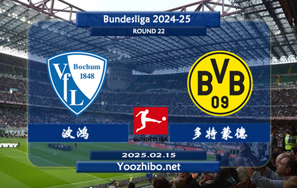 波鸿vs多特蒙德赛事前瞻分析：多特本赛季表现不佳