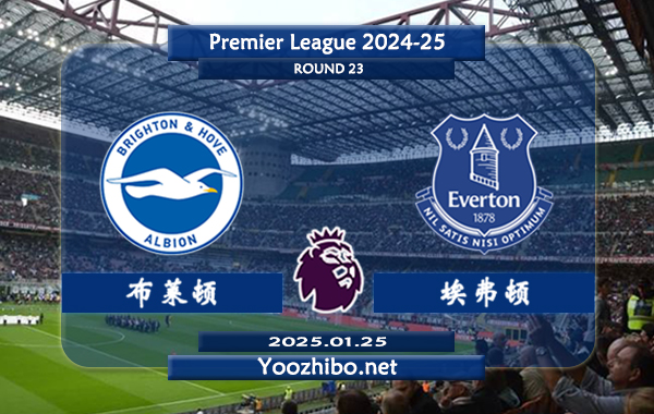 布莱顿vs埃弗顿赛事前瞻分析：布莱顿本赛季高开低走