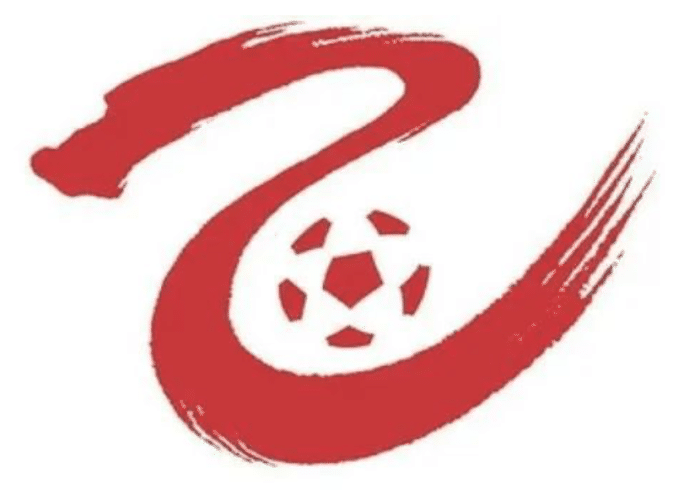 颜强: 四十强赛国足压力, 高于中超联赛重要性