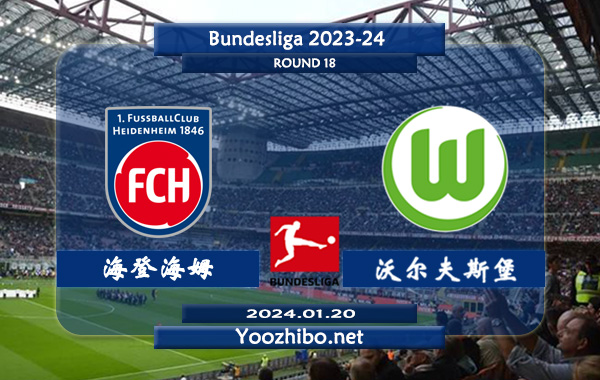 海登海姆vs沃尔夫斯堡赛事前瞻分析：海登海姆主场龙属性十足
