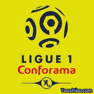 法甲联赛的降级制度是怎么样的？总共会降级几支队伍？