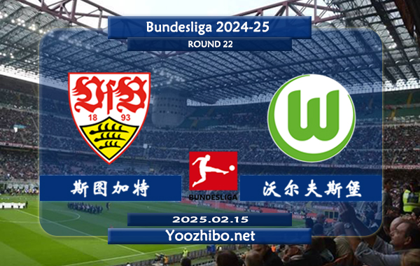 斯图加特vs沃尔夫斯堡赛事前瞻分析：斯图加特本赛季表现中规中矩