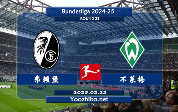 弗赖堡vs不莱梅赛事前瞻分析：本赛季表现不俗