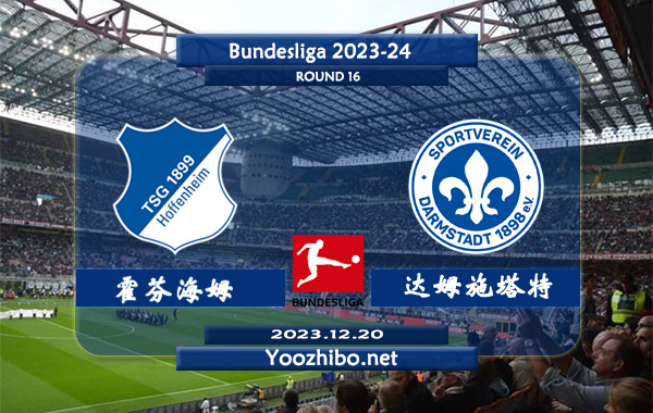 霍芬海姆vs达姆施塔特赛事前瞻分析：霍芬海姆主场有所乏力