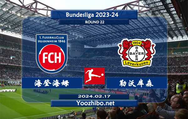 海登海姆vs勒沃库森赛事前瞻分析：勒沃库森客场能力极佳