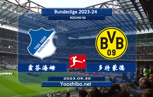 霍芬海姆vs多特蒙德赛事前瞻分析：多特蒙德客场能力出色胜率高达70%