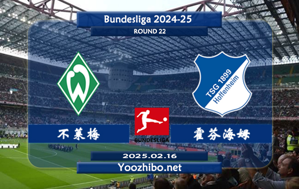 不莱梅vs霍芬海姆赛事前瞻分析：不莱梅本赛季表现中规中矩