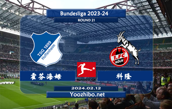 霍芬海姆vs科隆赛事前瞻分析：霍芬海姆进攻不俗防守不稳