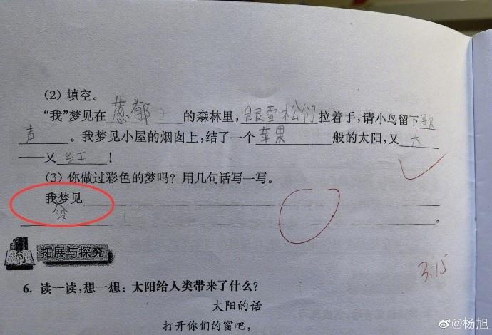 中场大脑? 杨旭调侃儿子语文作业: 思维太有创造性