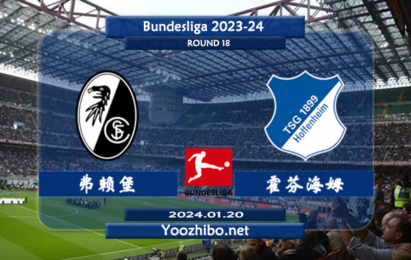 弗赖堡vs霍芬海姆赛事前瞻分析：弗莱堡主场能力不俗