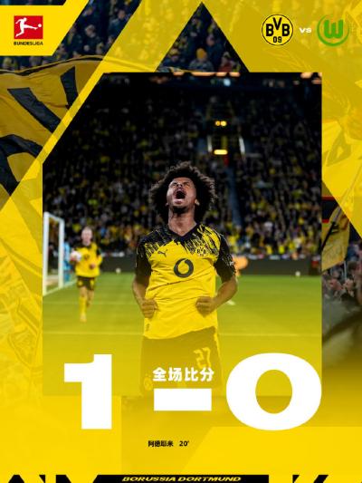 德甲：多特蒙德1-0沃尔夫斯堡 哈阿德耶米世界波